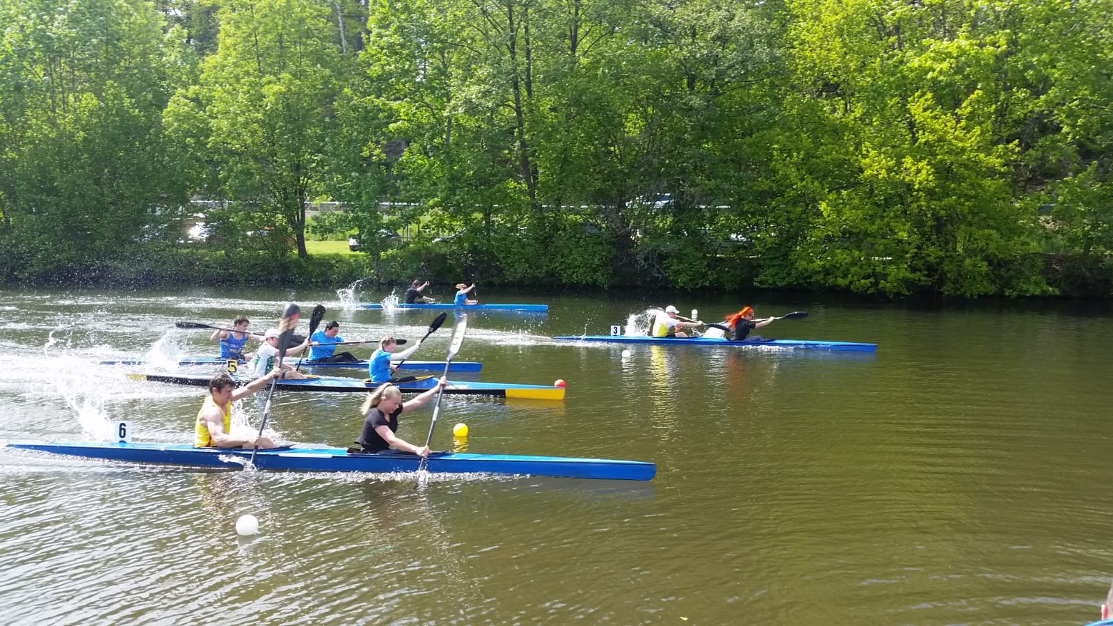 Vereinsmeisterschaft